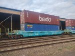 BRAD PRT-064965-1